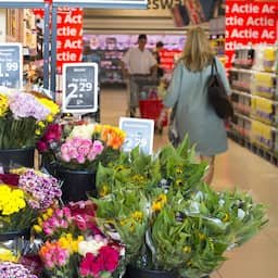 Lidl verkoopt deze zomer als eerste supermarkt biologische bloemen
