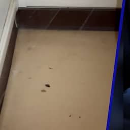 Video | Tour-renners tonen vieze hotelkamers en verhuizen bedden naar balkon