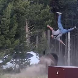 Video | Bizon slingert man meters de lucht in in natuurpark Yellowstone