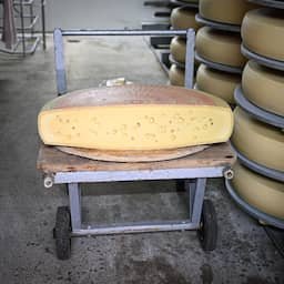 20.000 kilo emmentalerkaas verdwijnt op weg van Duitsland naar Frankrijk