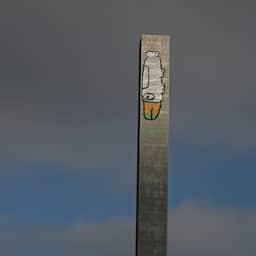 Australiër kalkt vogel op 140 meter hoge brug: 'Stuur me verdomme wat te eten'