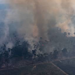 Niet eerder ging in Brazilië zo weinig regenwoud verloren door brand als in 2025