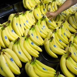 Man aangehouden na cocaïnevondst tussen bananen in Lidl-supermarkten