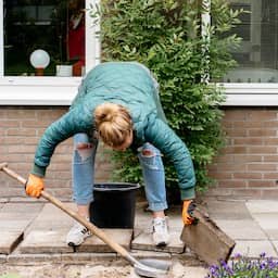 Tegelwippen en zonnebrandpalen: dit doen gemeenten tegen toenemende hitte