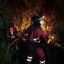 Morgen code rood in vier Franse regio's wegens 'zeer groot' risico op bosbranden