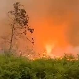 Video | Vuurtornado raast rond bij bosbranden bij Bordeaux