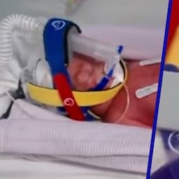 Video | Pasgeboren vierling sterkt aan in couveuses van Australisch ziekenhuis