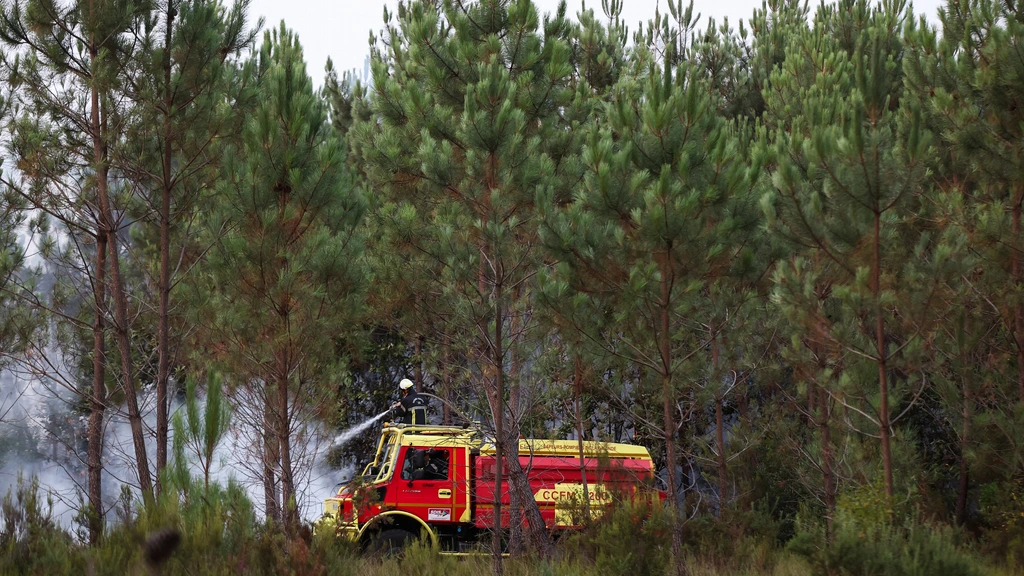 Duizenden toeristen geëvacueerd vanwege natuurbrand in Zuidwest-Frankrijk