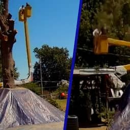 Video | Hoveniers overleven val van 14 meter na breken kabel van hoogwerker VS