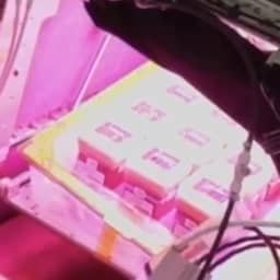 Video | Astronaut kweekt planten in ruimtetuin aan boord van ISS
