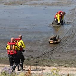 Video | Brandweer redt surfer onder de modder uit slik bij Harlingen