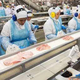Grootste vleesverwerker ter wereld zet klimaatdoelstelling fors lager
