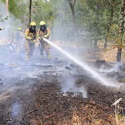 Video | Brandweer spuit water op brand in bosgebied bij Weert