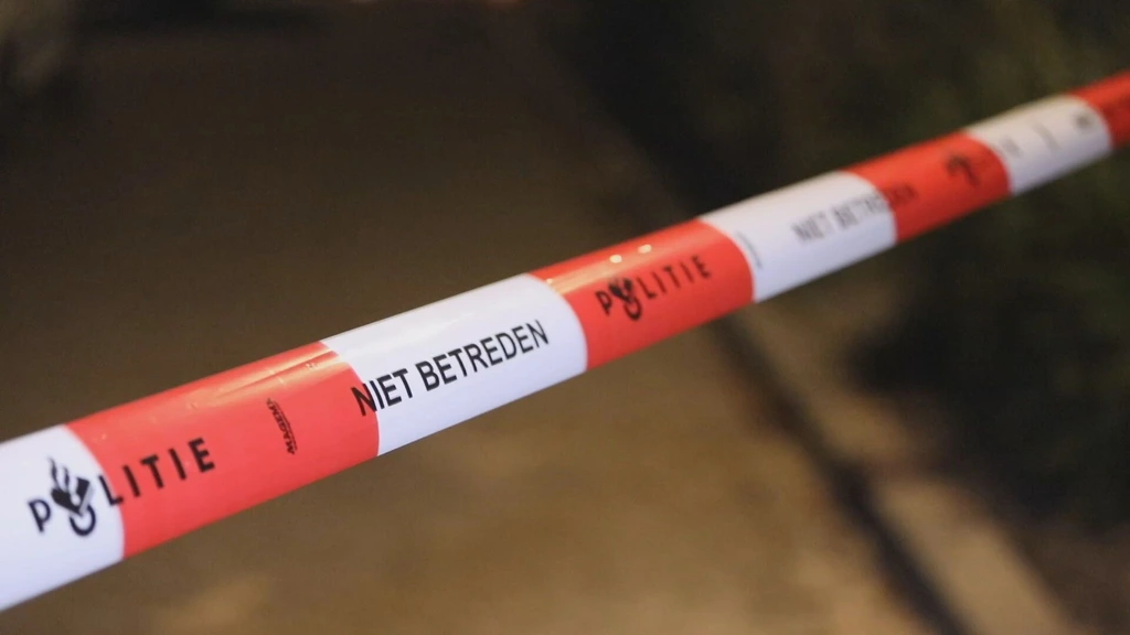Man (35) uit Spijkenisse vast na meerdere zedenincidenten op een dag