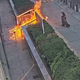 Video | Beveiligingscamera legt vast hoe man overheidsgebouw in brand zet