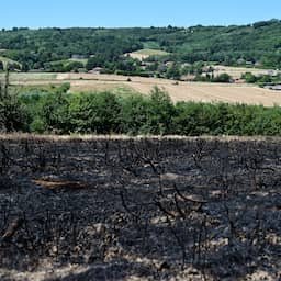 Derde etappe Tour de France in gevaar door bosbranden en extreme hitte