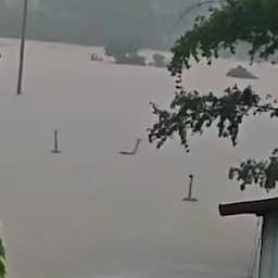 Video | Honderden slangen zwemmen door het water na overstromingen in China