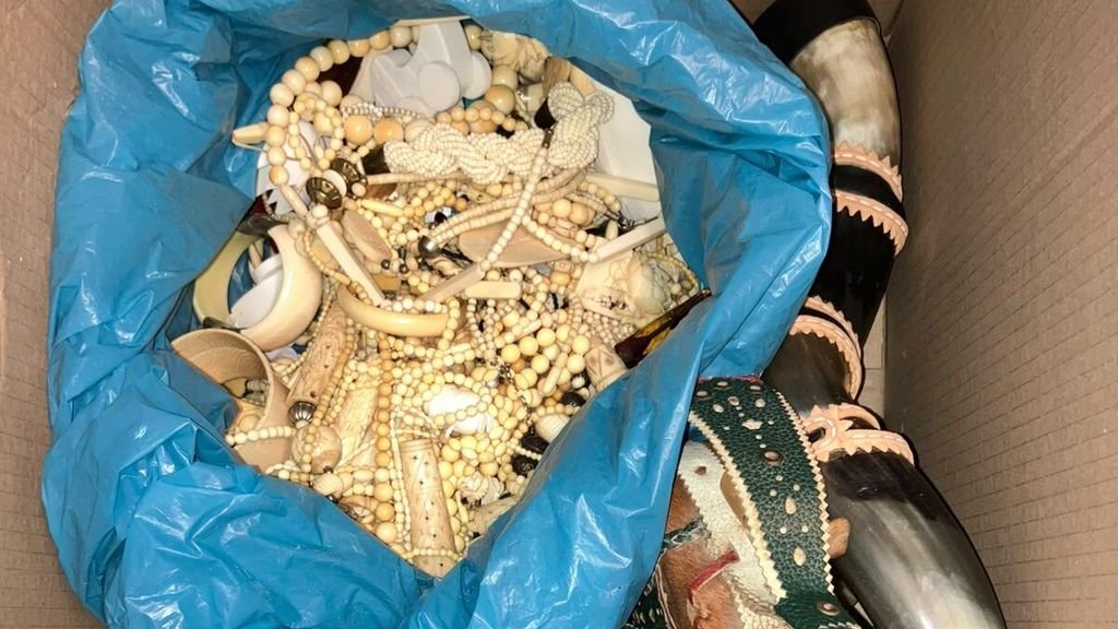Verhuisdozen vol ivoren sieraden, 5800 verboden objecten anoniem ingeleverd