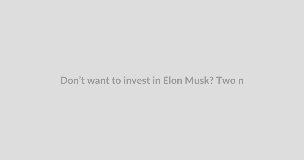 Don’t want to invest in Elon Musk? Two new ETFs explicitly exclude him