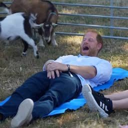 Video | Kroonjuwelen van prins Harry niet veilig tijdens geitenyoga