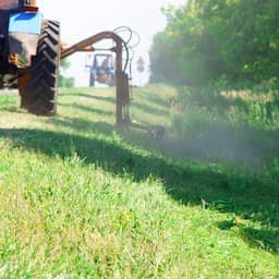 Half gemaaide bermen helpen insecten: 'Dit wordt de nieuwe standaard'
