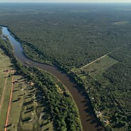 Klappen soja-akkoord bedreigt Amazonegebied zo groot als derde van Nederland