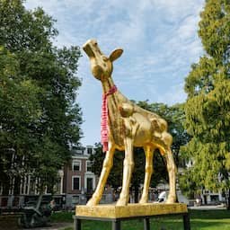 Filmfestival en DAFF na kritiek op stemprocedure Kalveren: 'Zorgvuldig proces'