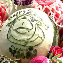 Video | Dwergnijlpaard Moo Deng viert verjaardag met groentetaart