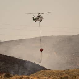 Brandweer heeft dodelijke bosbrand in Spanje onder controle