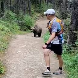 Video | Beer achtervolgt wandelaars op enkele meters in Canadees bos