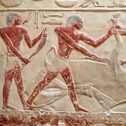 Prinsessen in Oude Egypte konden goed met wapens overweg: 'Geen luxelevens'