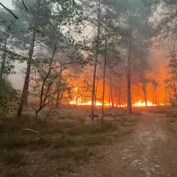 Video | Grote rookwolken stijgen op bij flinke bosbrand in de buurt van Parijs