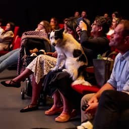In beeld | Honden mogen in Rotterdam mee naar de film in speciale 'dog cinema'