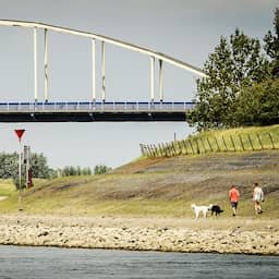 Omstanders redden hond die wordt meegesleurd in de IJssel bij Doesburg