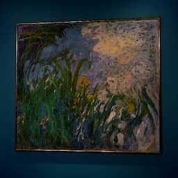Video | Zo ziet schilderij van Monet eruit dat 30 miljoen euro moet opleveren